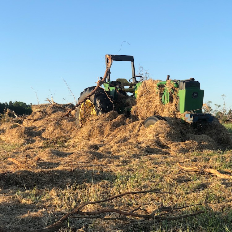 April tornadoes damage Georgia farms statewide